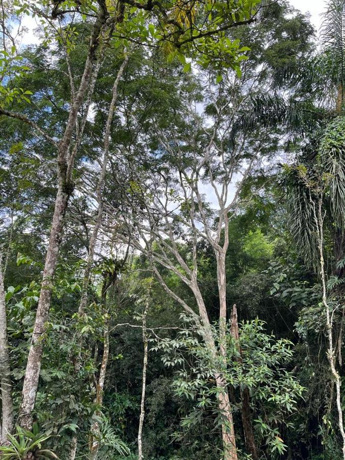 Sitio Serenar Chales Equipados Penedo  Luaran gambar