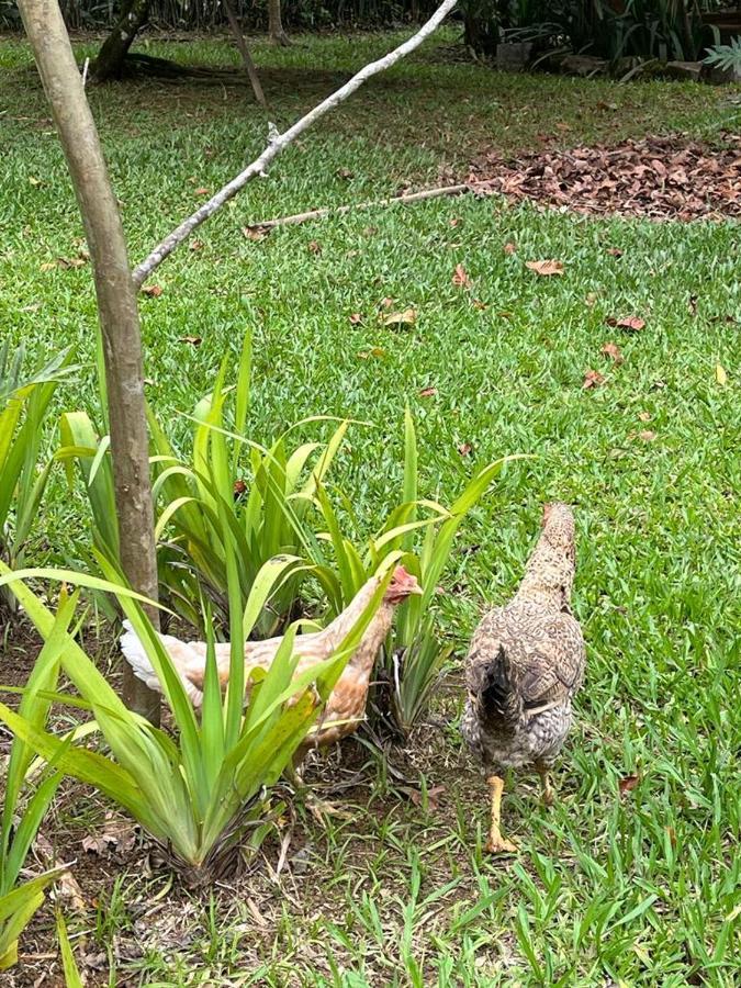Sitio Serenar Chales Equipados Penedo  Luaran gambar